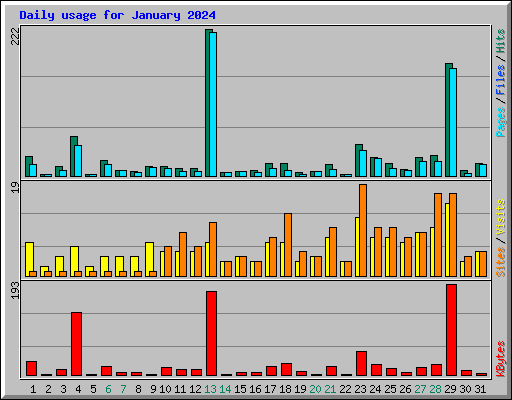 Daily usage for January 2024
