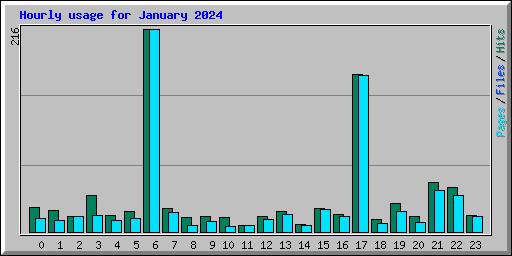 Hourly usage for January 2024