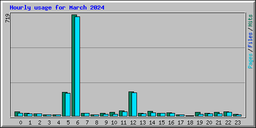 Hourly usage for March 2024
