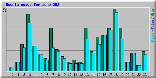 Hourly usage for June 2024