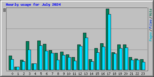 Hourly usage for July 2024