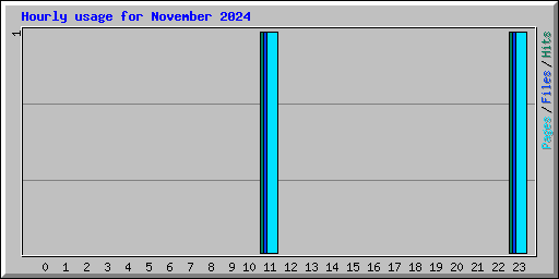 Hourly usage for November 2024