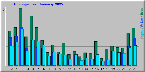 Hourly usage for January 2025