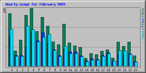 Hourly usage for February 2025