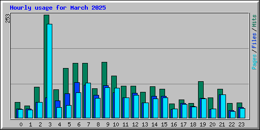 Hourly usage for March 2025