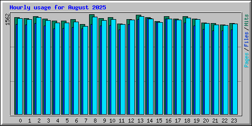 Hourly usage for August 2025
