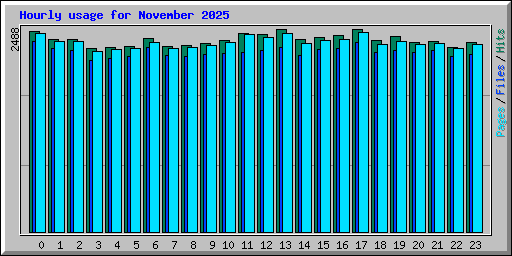 Hourly usage for November 2025