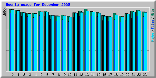 Hourly usage for December 2025